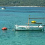 Holiday home Otok Veli Prznjak 2